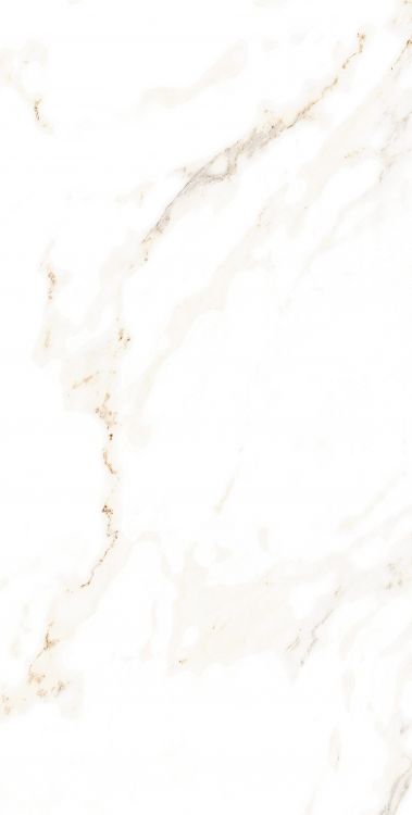 AGL Lusso Staturio Polished 12 x 24